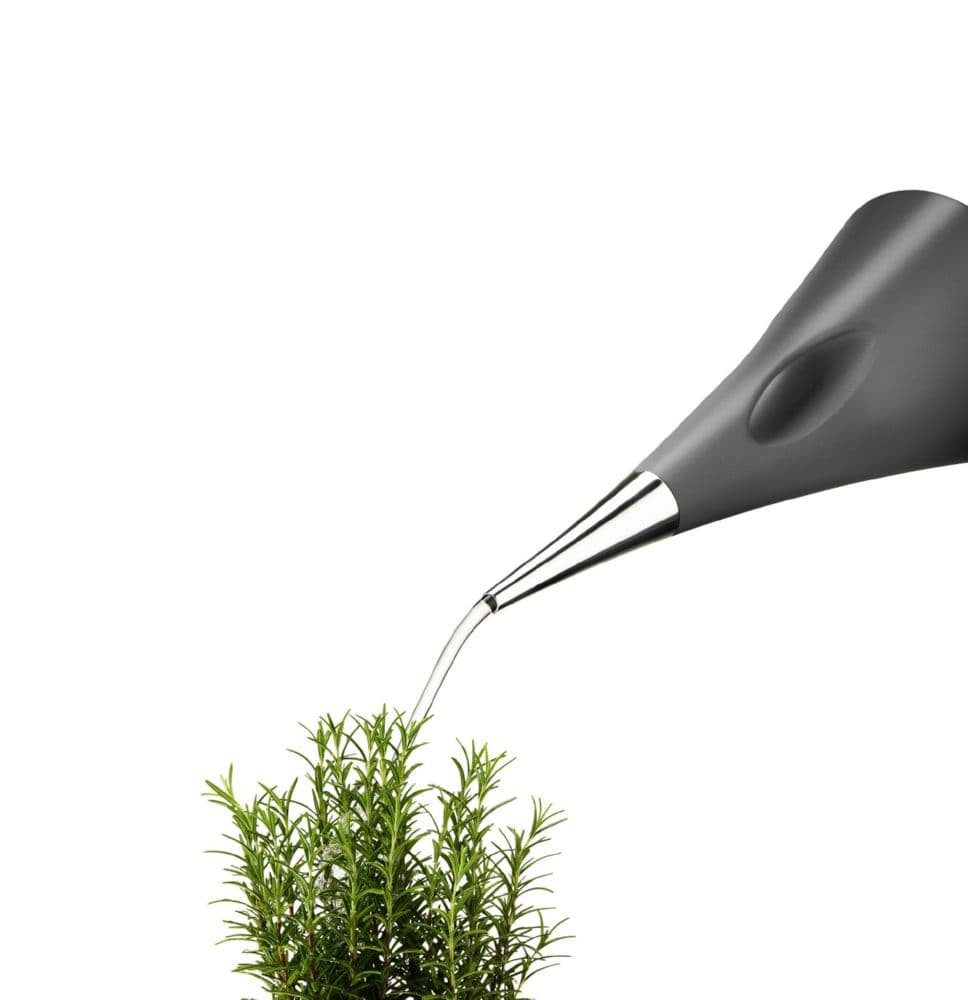 Лейка Eva Solo AquaStar 2 л серая 568304