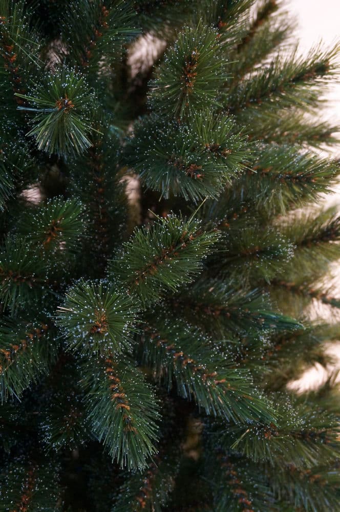 Искусственная ель Triumph Tree ЛЕСНАЯ КРАСАВИЦА  120 СМ ЗЕЛЕНАЯ