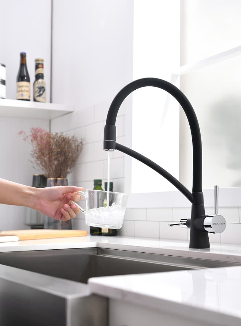 Смеситель Paulmark SIEGEN Si213111-401