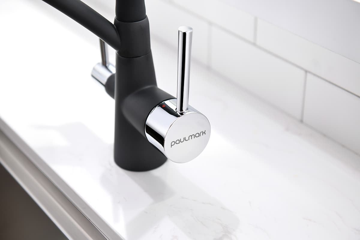 Смеситель Paulmark SIEGEN Si213111-401
